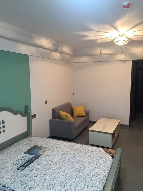 河西南湖路隧道口公寓出租信息與物業(yè)管理服務(wù)介紹